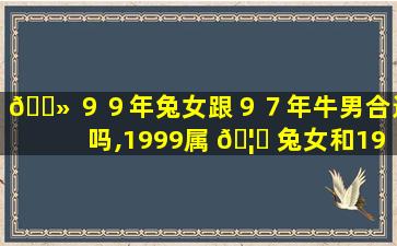 🌻 ９９年兔女跟９７年牛男合适吗,1999属 🦈 兔女和1997属牛男婚姻怎么样